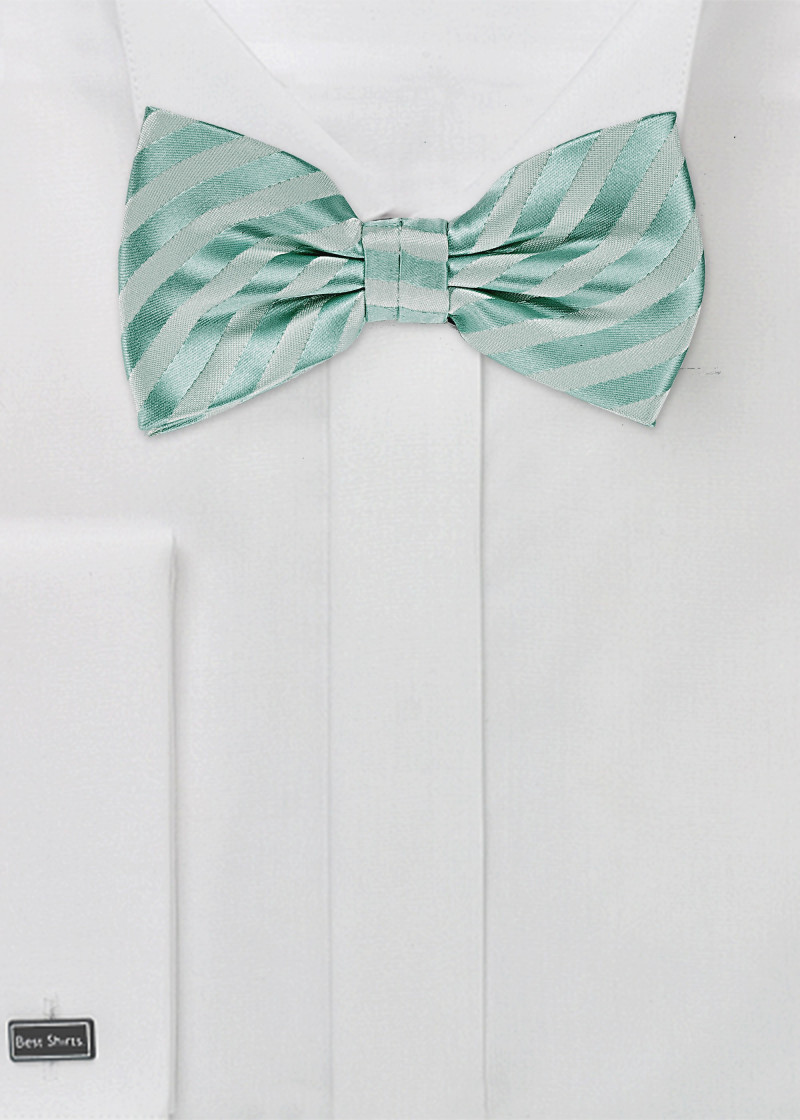 Fliege Mikrofaser mint Linien
