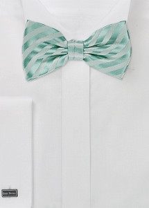 Fliege Mikrofaser mint Linien