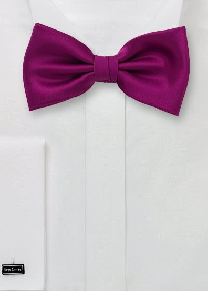 Fliege aus dem gleichen Stoff und Farbe